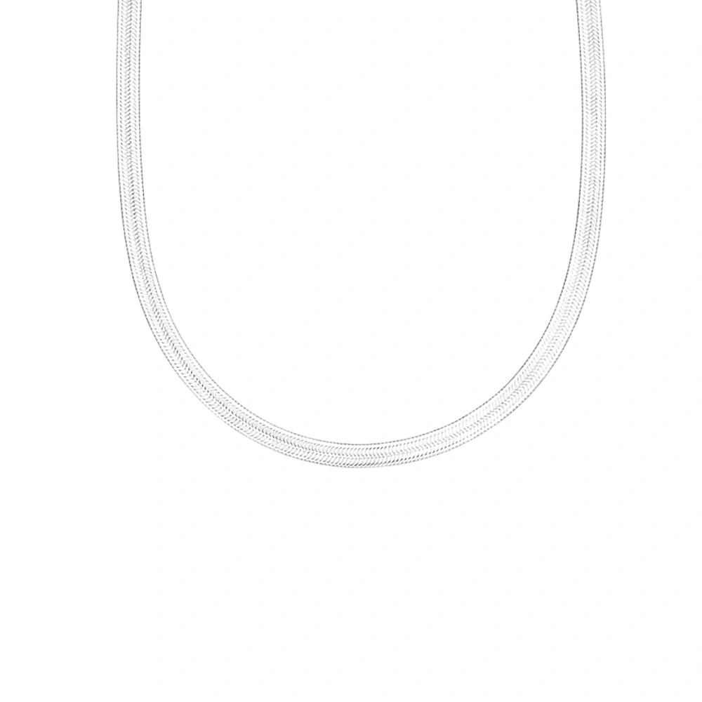 Silver Serpent Chain